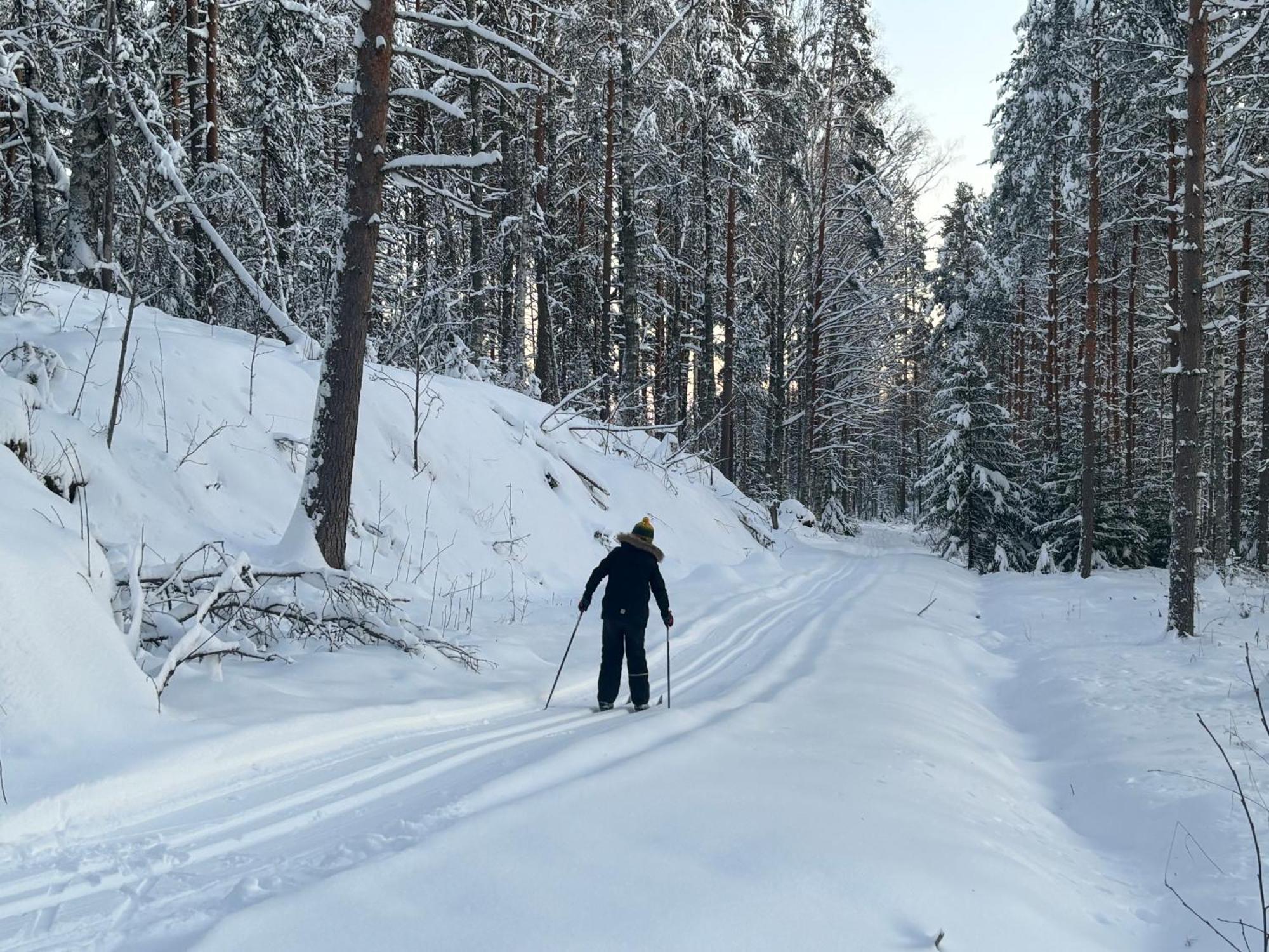 Tarula Holiday Home Melkoniemi Экстерьер фото